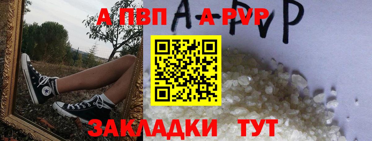 A PVP СК КРИС Мценск
