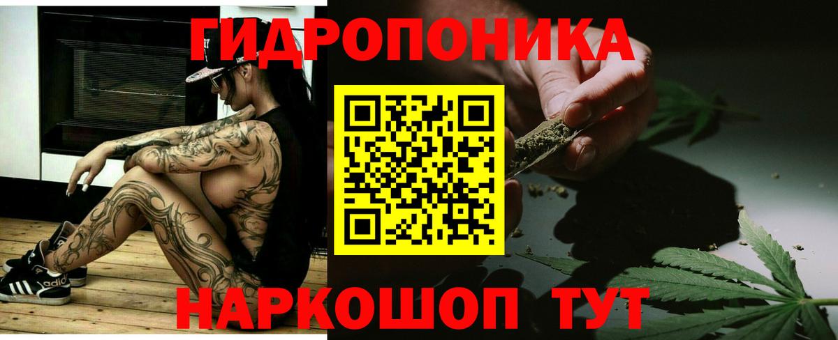 Бошки Шишки планчик Мценск